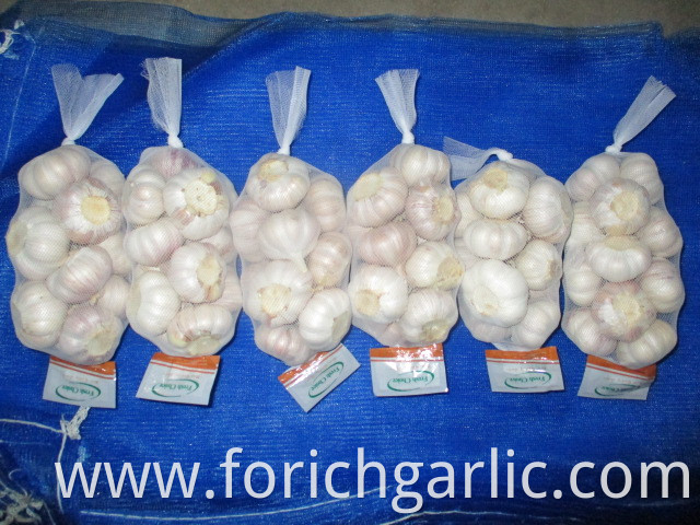 Jinxiang Fresh Normal White Garlic